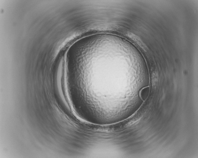 X0000057090727200510071910