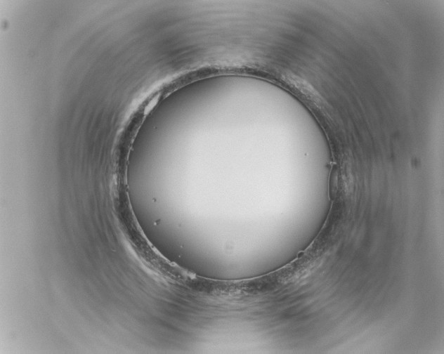 X0000057090728200510071910