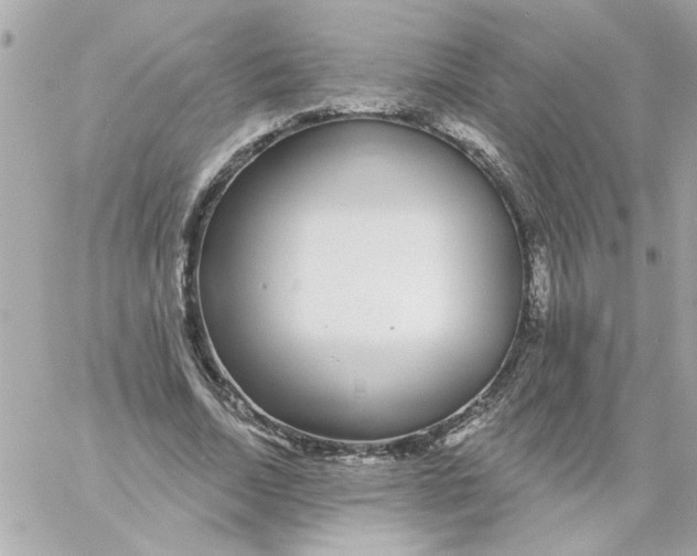 X0000057090730200510071910