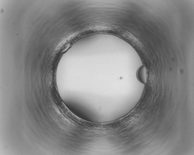 X0000057090732200510071910