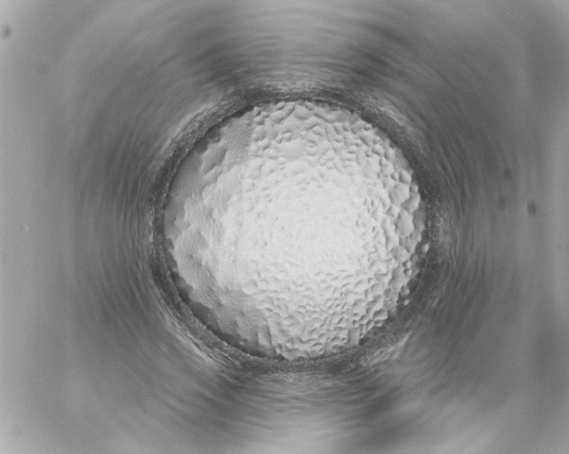 X0000057090733200510071910