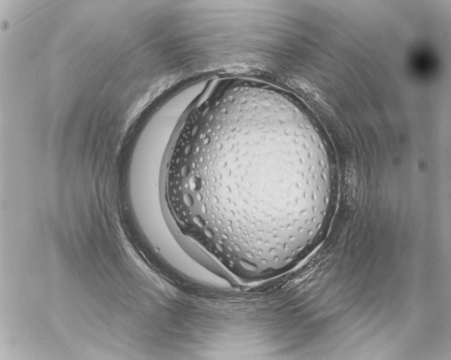 X0000057090734200510071910