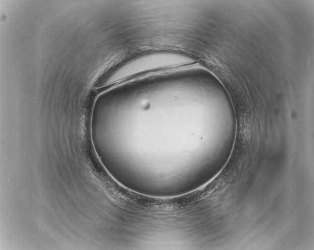 X0000057090735200510071910