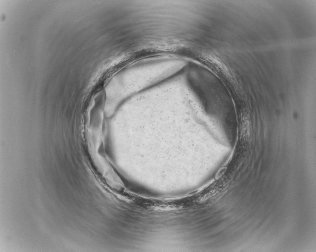 X0000057090736200510071910