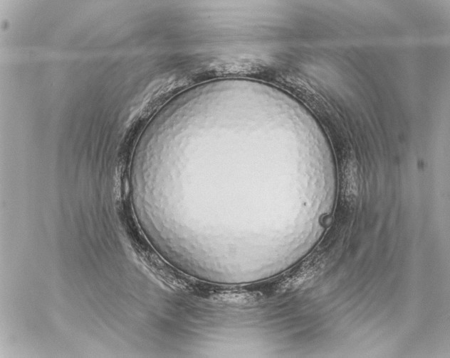 X0000057090738200510071910