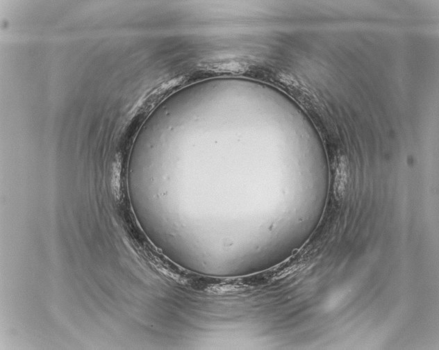 X0000057090739200510071910