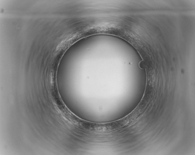 X0000057090740200510071910