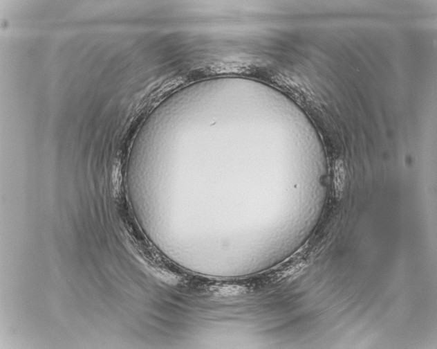 X0000057090741200510071910