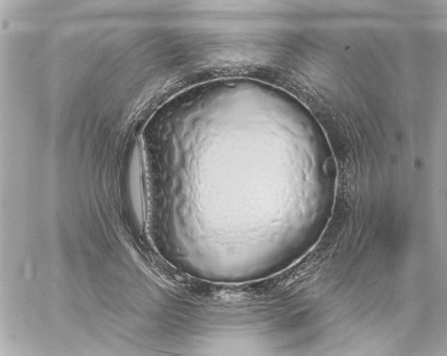 X0000057090742200510071910