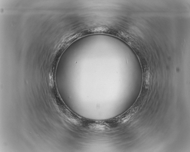 X0000057090743200510071910