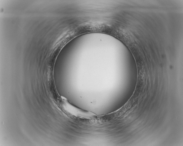 X0000057090744200510071911