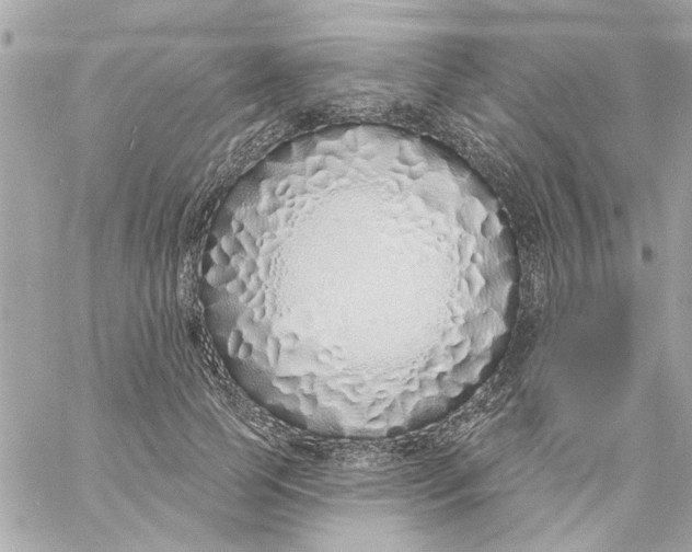 X0000057090745200510071911