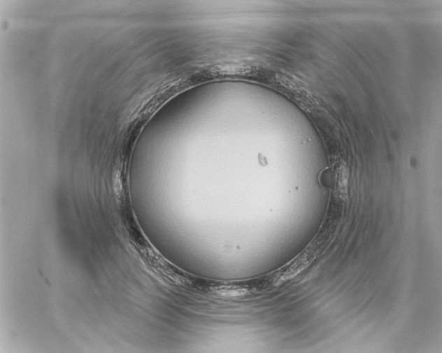 X0000057090746200510071911