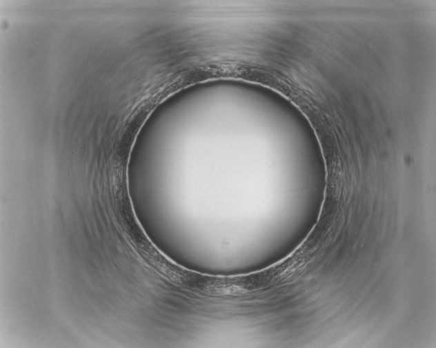 X0000057090747200510071911