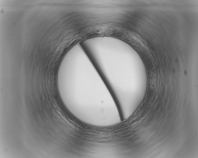 X0000057090748200510071911