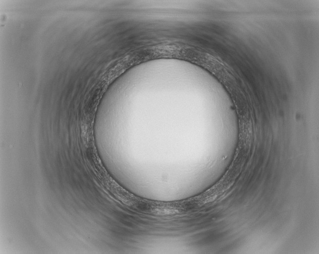 X0000057090749200510071911