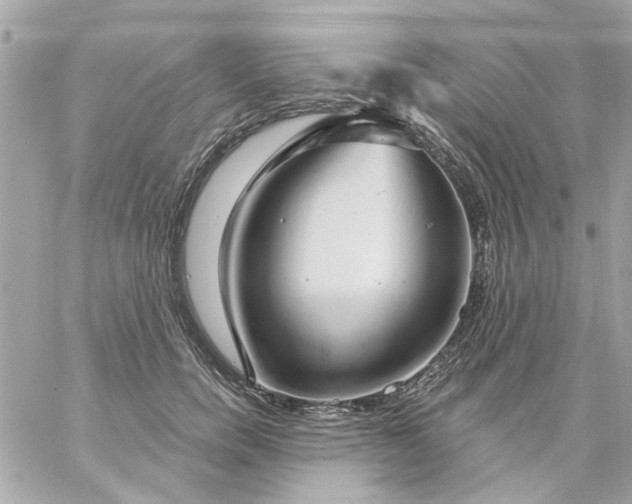 X0000057090750200510071911