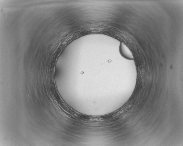 X0000057090752200510071911