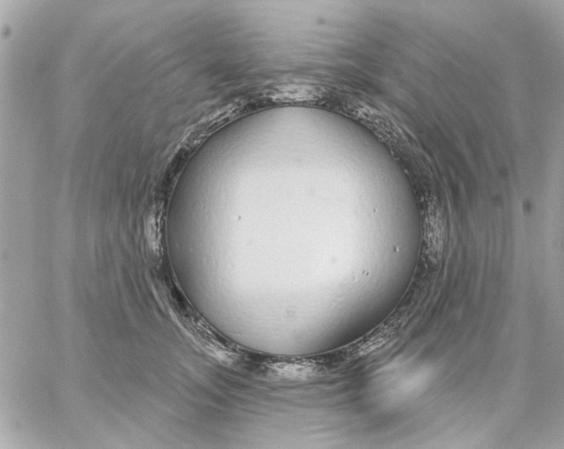 X0000057090755200510071911