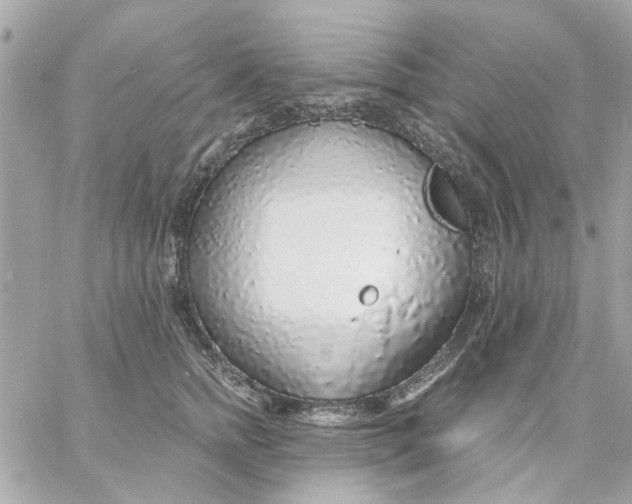 X0000057090758200510071911