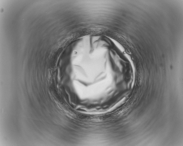 X0000057090759200510071911