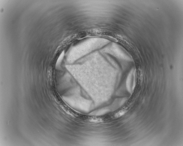 X0000057090760200510071911