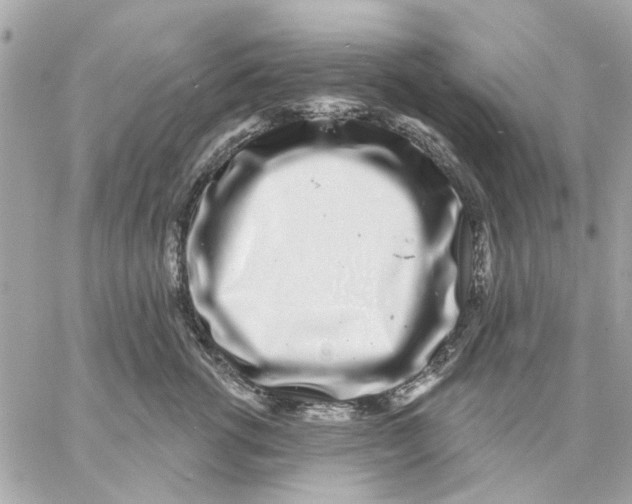 X0000057090762200510071911