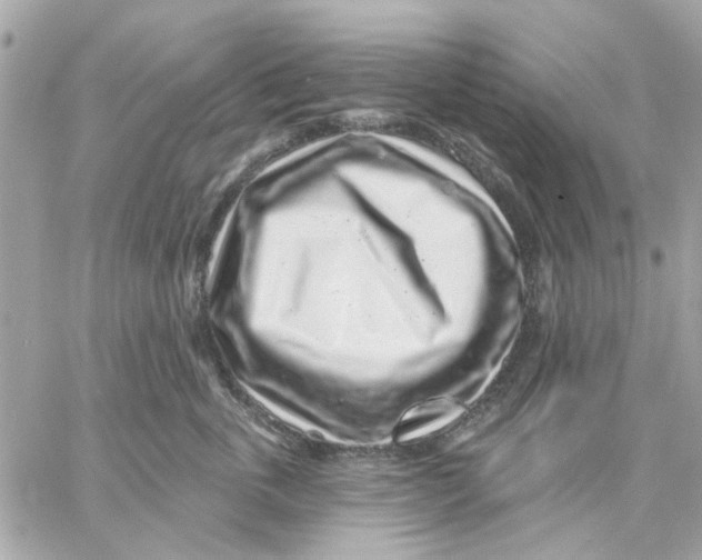 X0000057090763200510071911