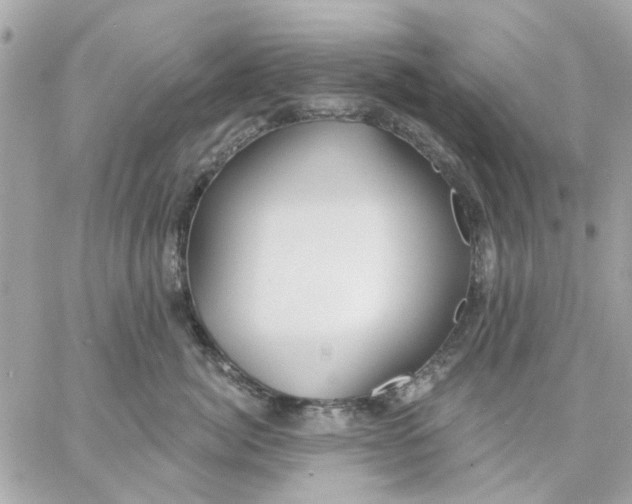 X0000057090764200510071911