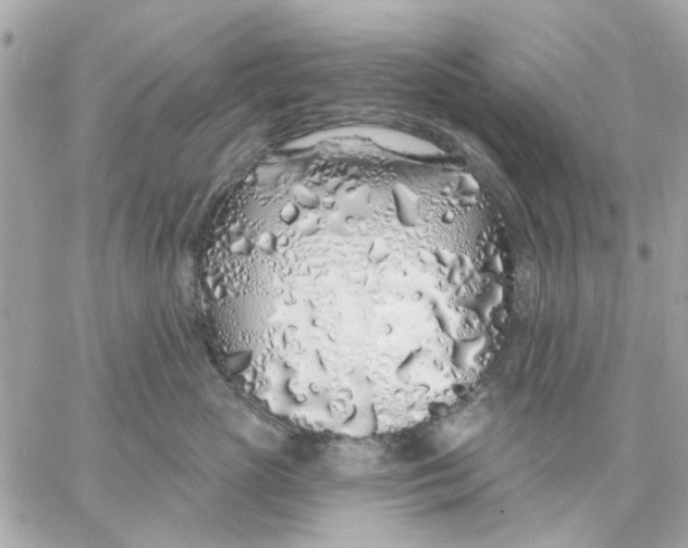 X0000057090765200510071911