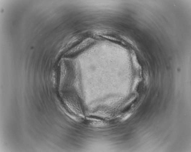 X0000057090766200510071911