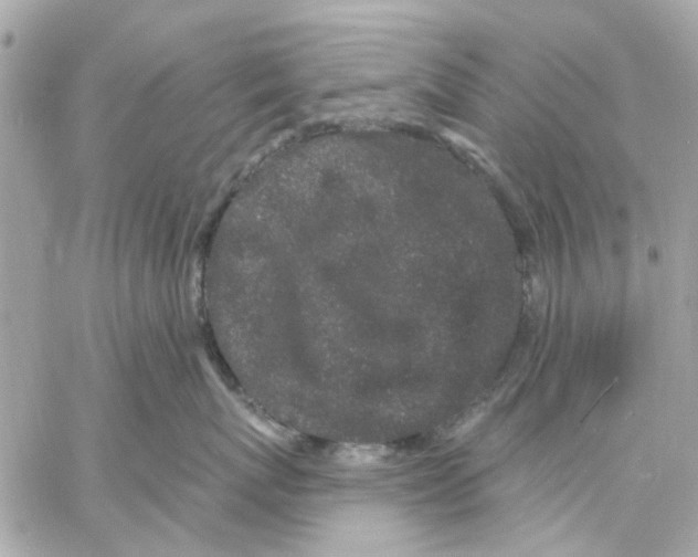 X0000057090767200510071911