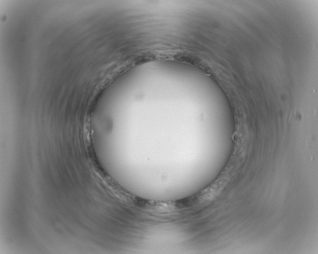 X0000057090768200510071911