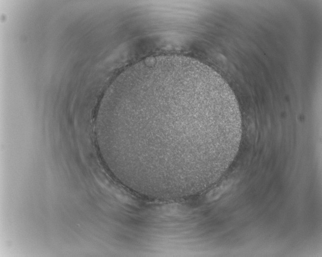 X0000057090769200510071910