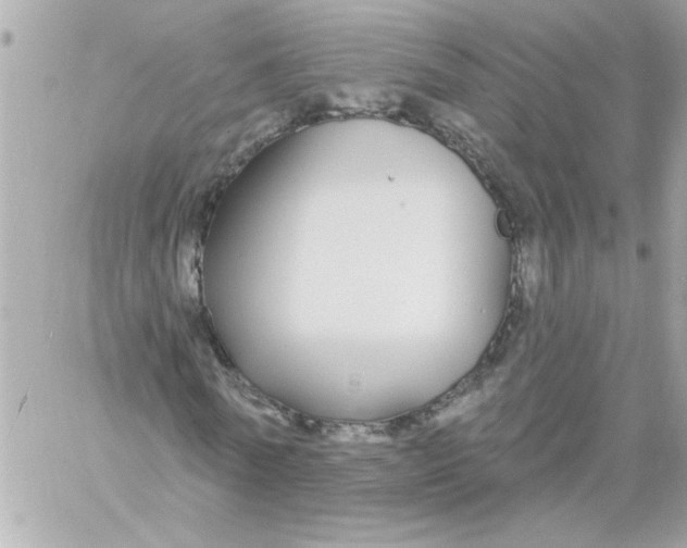 X0000057090770200510071910