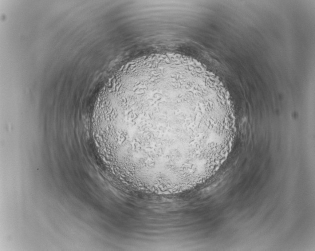 X0000057090772200510071910