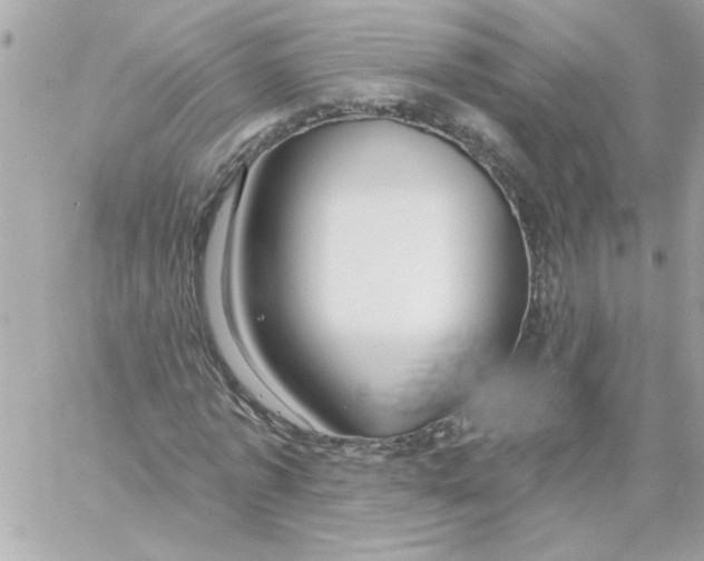 X0000057090773200510071910