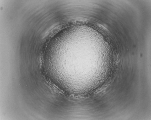 X0000057090774200510071910