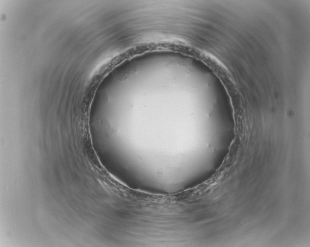 X0000057090775200510071910