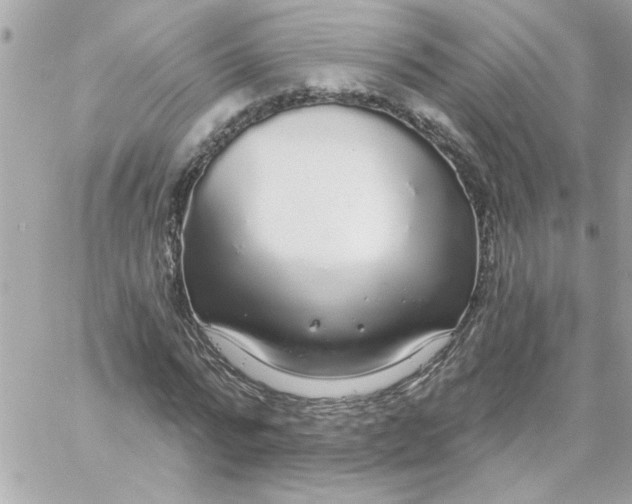 X0000057090776200510071910