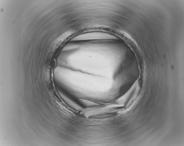 X0000057090777200510071910