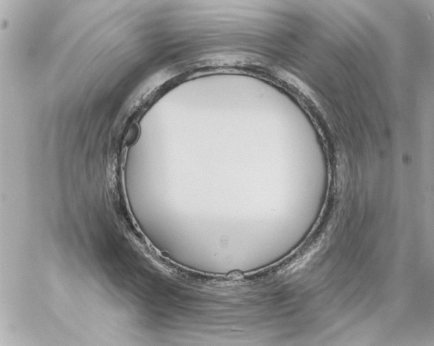 X0000057090778200510071910