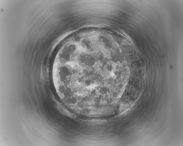 X0000057090779200510071910