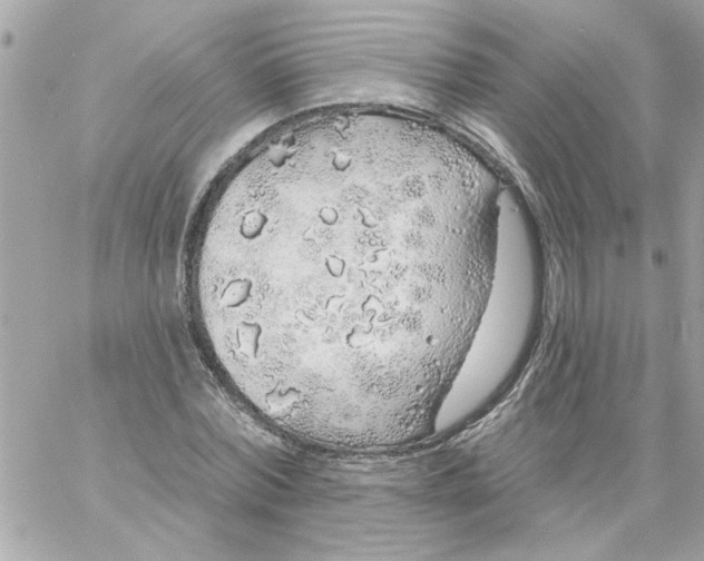 X0000057090780200510071910