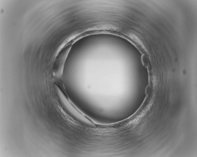 X0000057090781200510071910