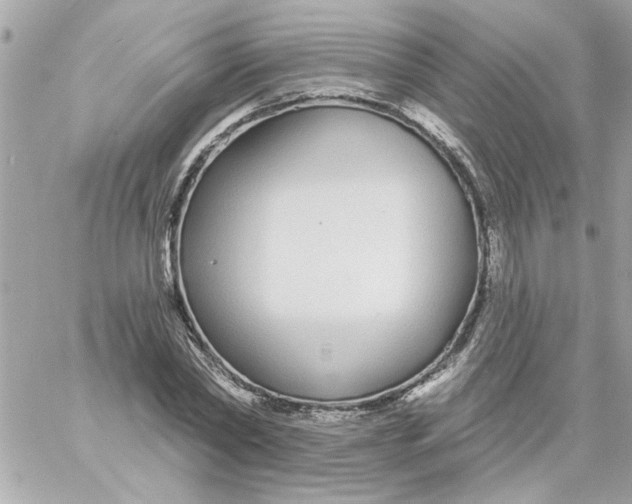 X0000057090782200510071910