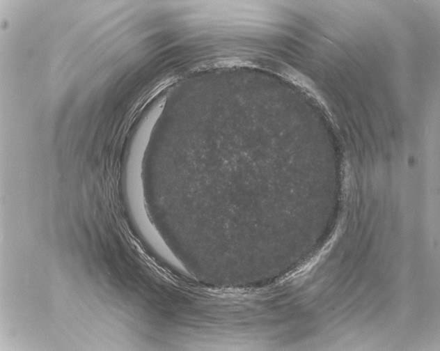 X0000057090785200510071910