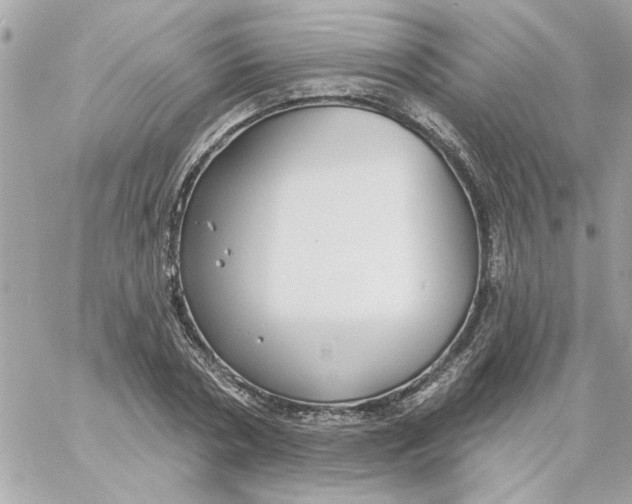 X0000057090786200510071910