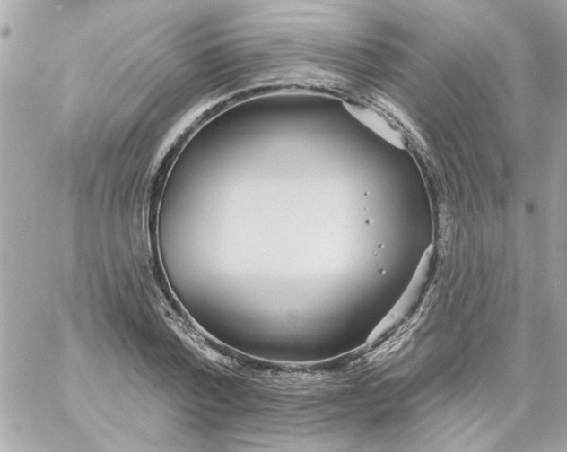 X0000057090788200510071910