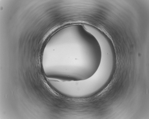 X0000057090789200510071910